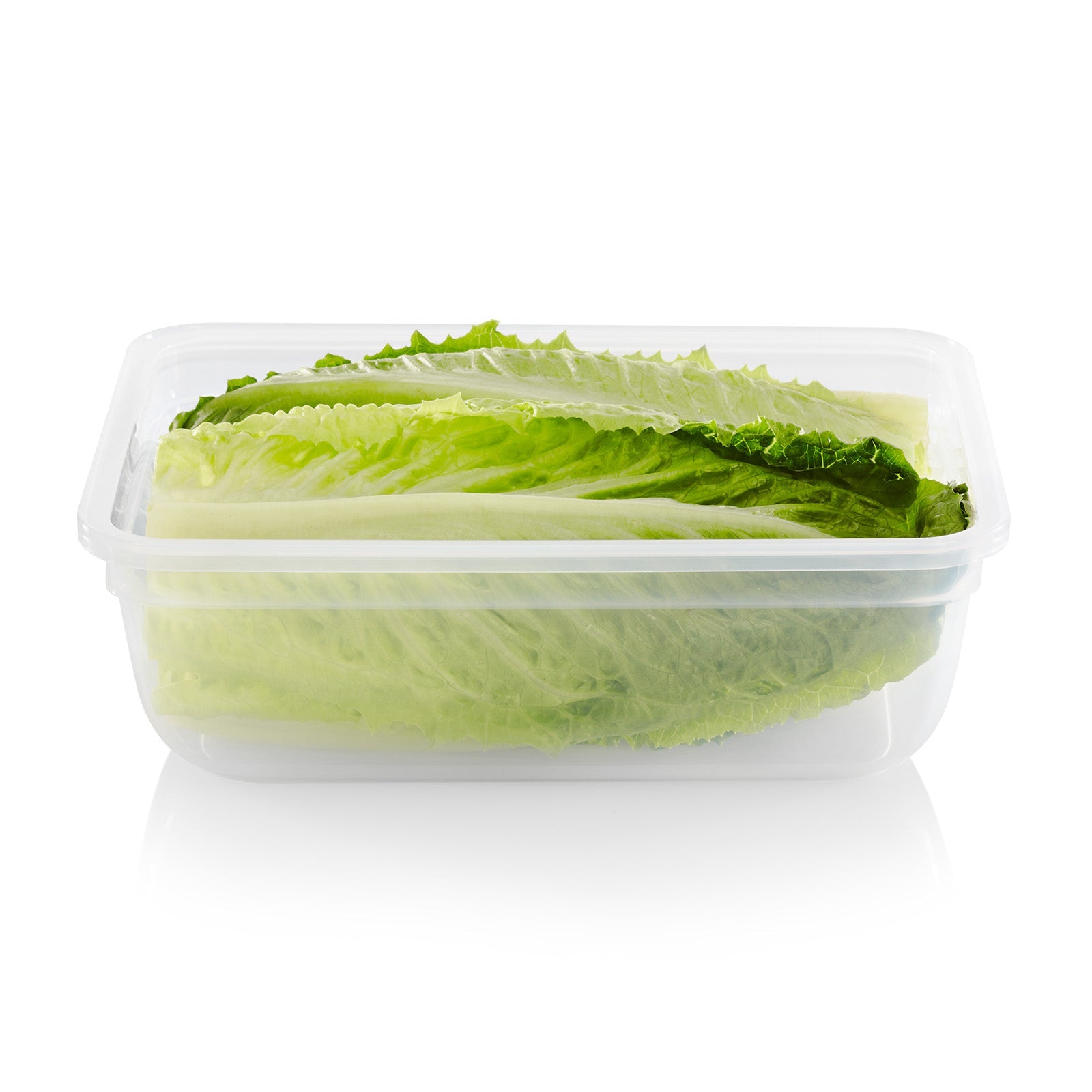 Snapware® Total Solution® 8.5-cup Plastic Food Storage Container with Lid - Image 2
